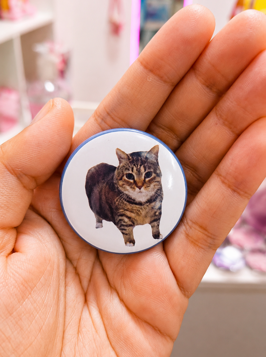 Bottons Gatinho Meme