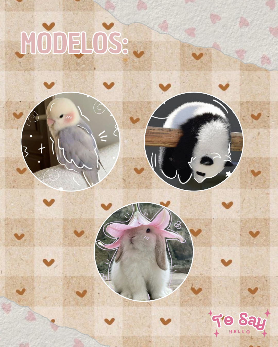 Bottons Pet